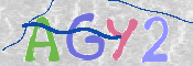 この文字を入力してください