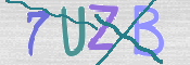 この文字を入力してください