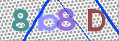 この文字を入力してください
