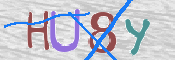 この文字を入力してください