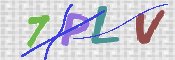 この文字を入力してください