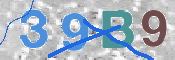この文字を入力してください