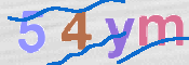 この文字を入力してください