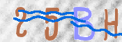 この文字を入力してください
