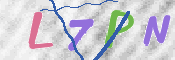 この文字を入力してください