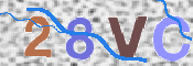 この文字を入力してください