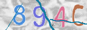 この文字を入力してください