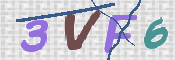 この文字を入力してください