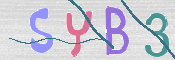この文字を入力してください