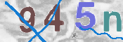 この文字を入力してください