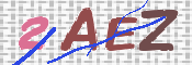 この文字を入力してください