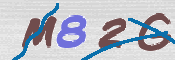 この文字を入力してください