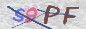 この文字を入力してください