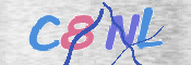 この文字を入力してください