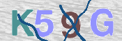 この文字を入力してください