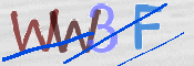 この文字を入力してください