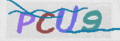 この文字を入力してください