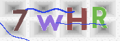 この文字を入力してください