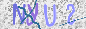 この文字を入力してください