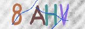 この文字を入力してください