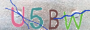 この文字を入力してください
