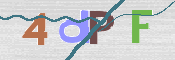 この文字を入力してください