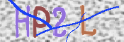 この文字を入力してください