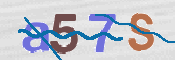 この文字を入力してください