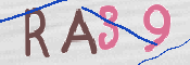 この文字を入力してください