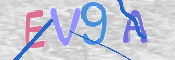 この文字を入力してください