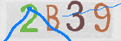 この文字を入力してください