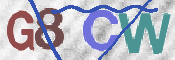 この文字を入力してください