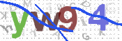 この文字を入力してください