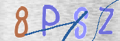 この文字を入力してください