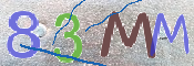 この文字を入力してください