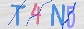 この文字を入力してください