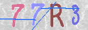 この文字を入力してください