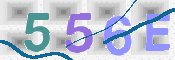 この文字を入力してください