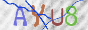 この文字を入力してください