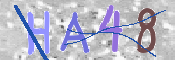 この文字を入力してください