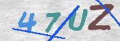 この文字を入力してください