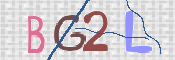 この文字を入力してください