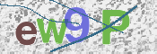 この文字を入力してください