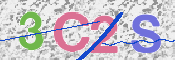 この文字を入力してください
