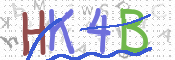 この文字を入力してください