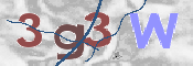 この文字を入力してください