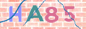 この文字を入力してください