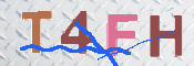 この文字を入力してください