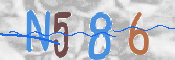 この文字を入力してください