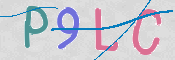 この文字を入力してください
